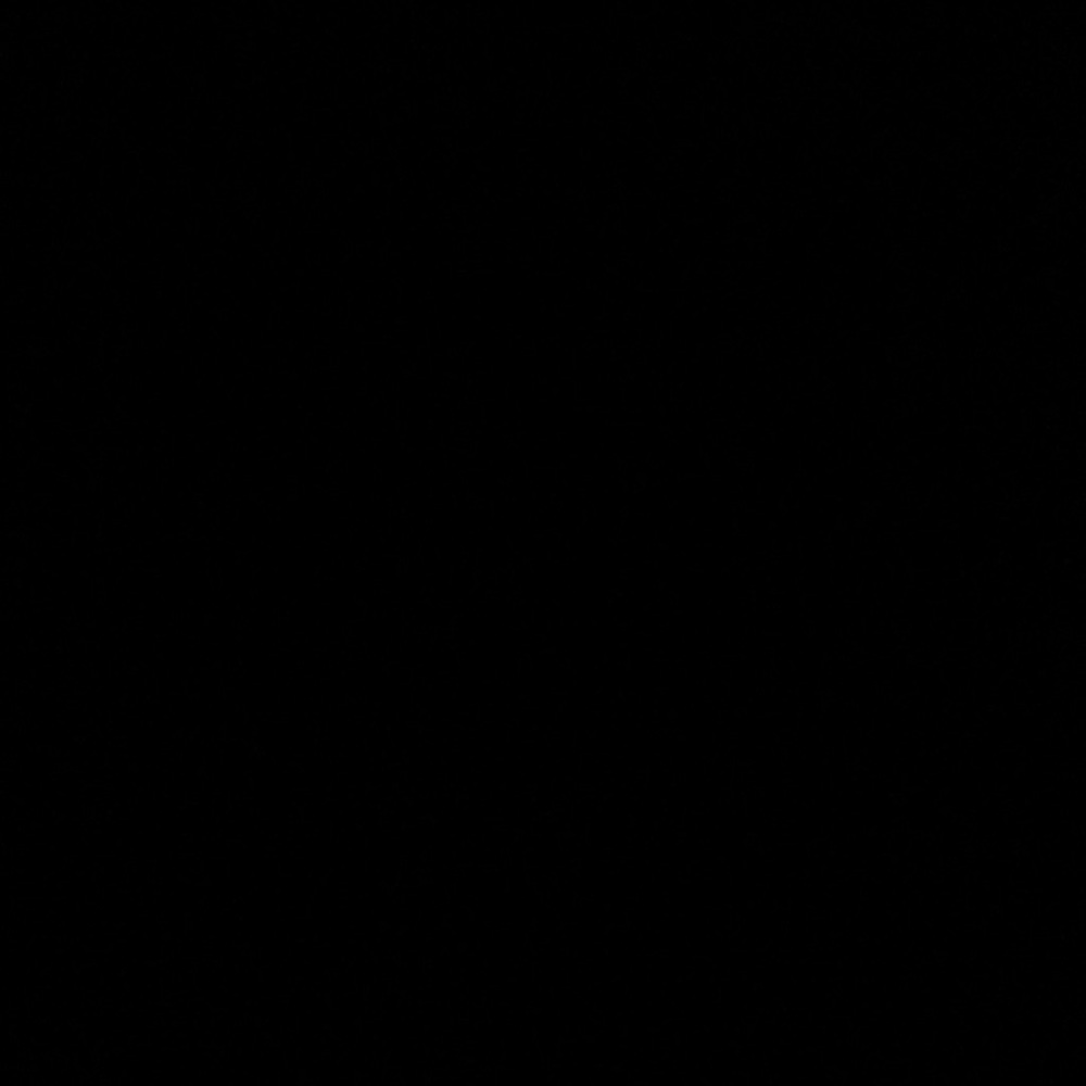 Meet your Posher, Allie